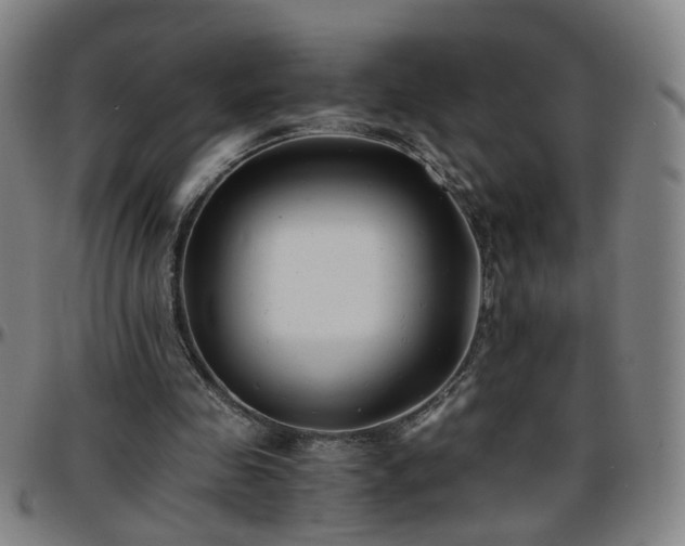 X0000096380341200801311304