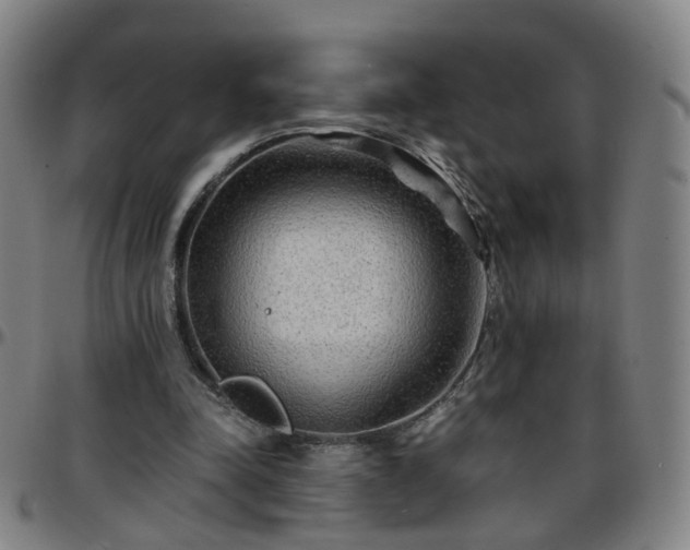 X0000096380342200801311304