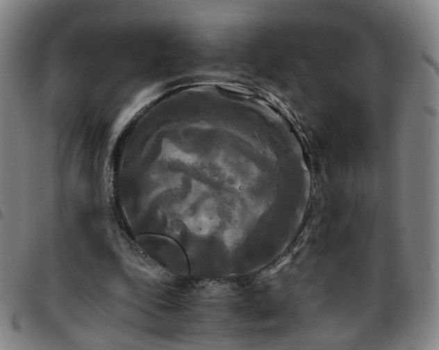 X0000096380343200801311304