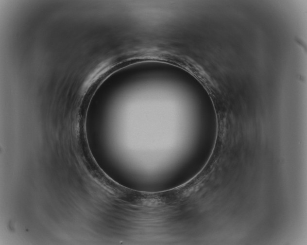 X0000096380344200801311304