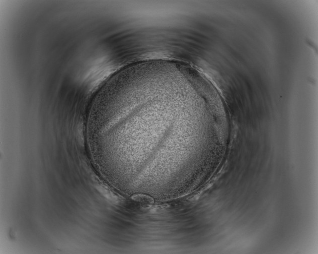 X0000096380345200801311304