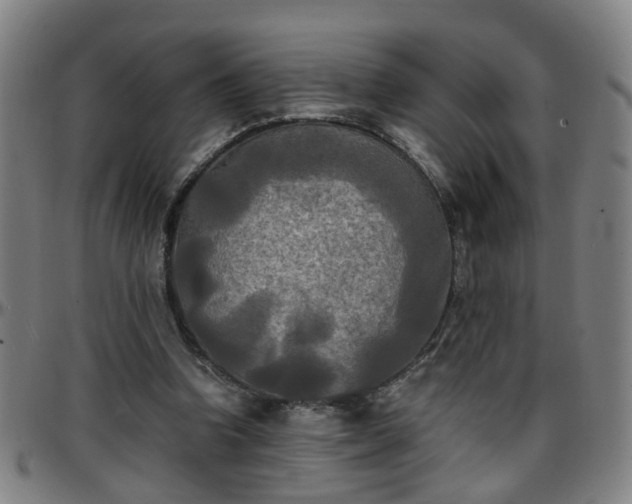 X0000096380346200801311304