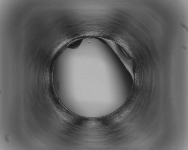 X0000096380348200801311304