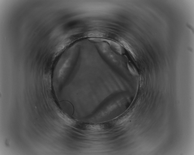 X0000096380349200801311304
