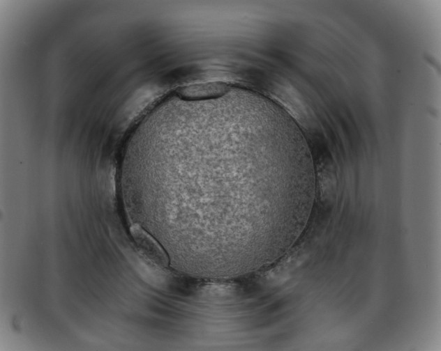 X0000096380350200801311304