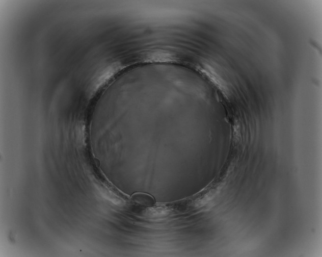 X0000096380351200801311304