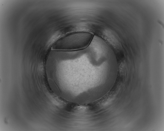 X0000096380352200801311304