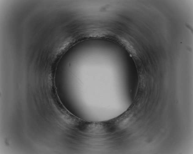 X0000096380354200801311304