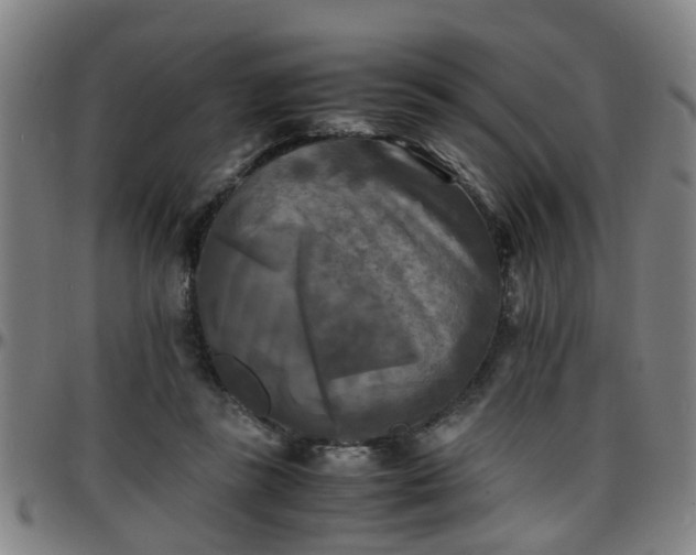 X0000096380355200801311304