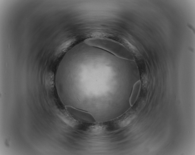 X0000096380356200801311304