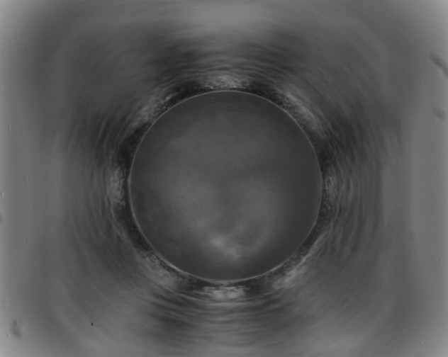 X0000096380359200801311304