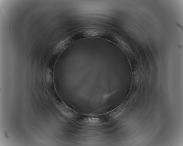 X0000096380361200801311304