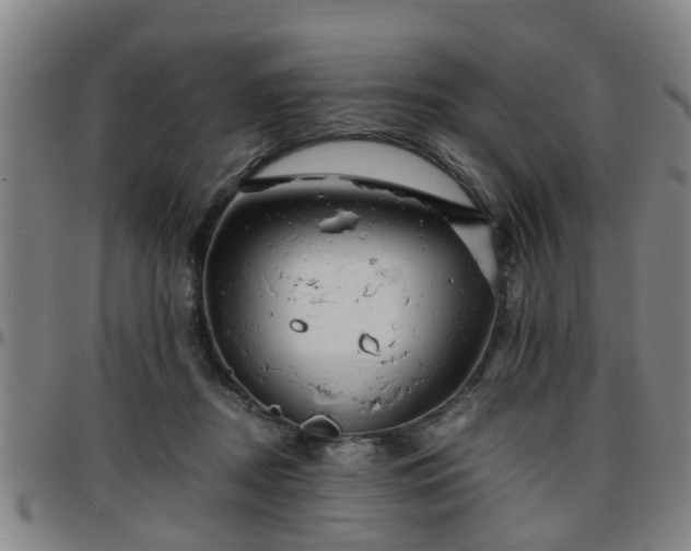 X0000096380362200801311304