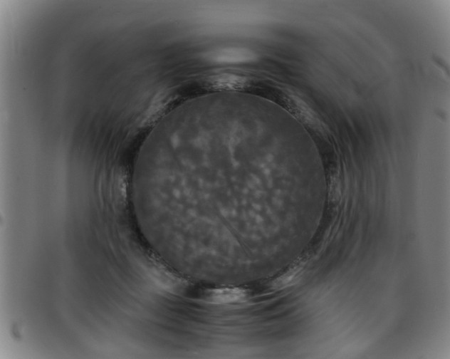 X0000096380363200801311304
