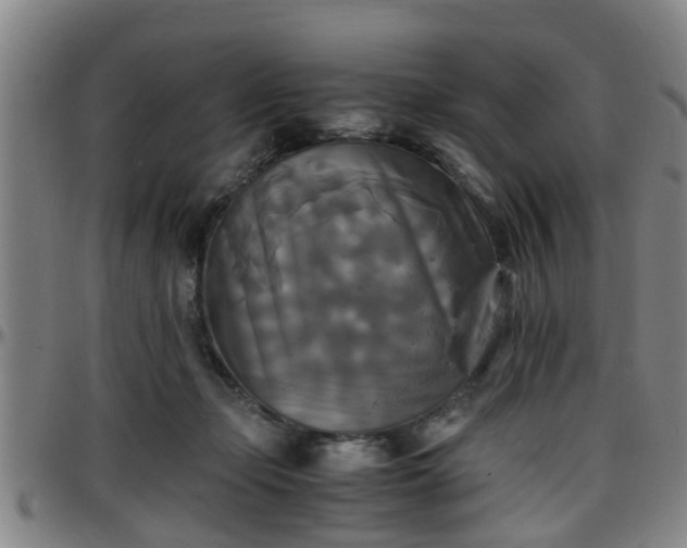 X0000096380365200801311304