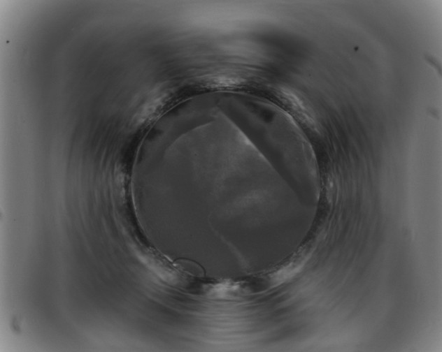 X0000096380366200801311304