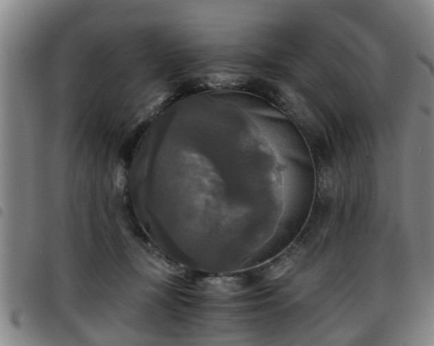 X0000096380367200801311304