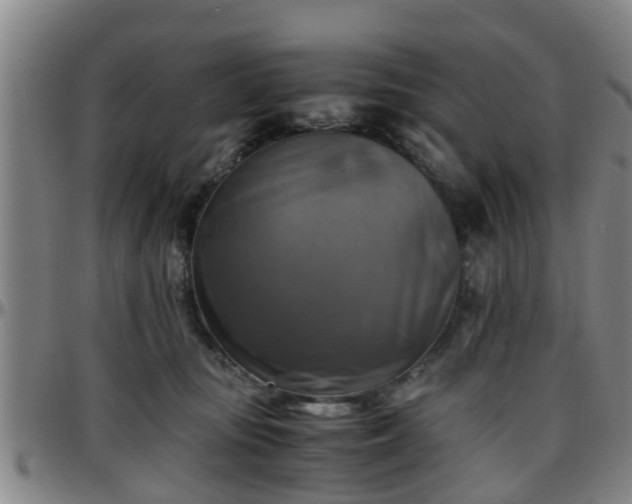 X0000096380371200801311304