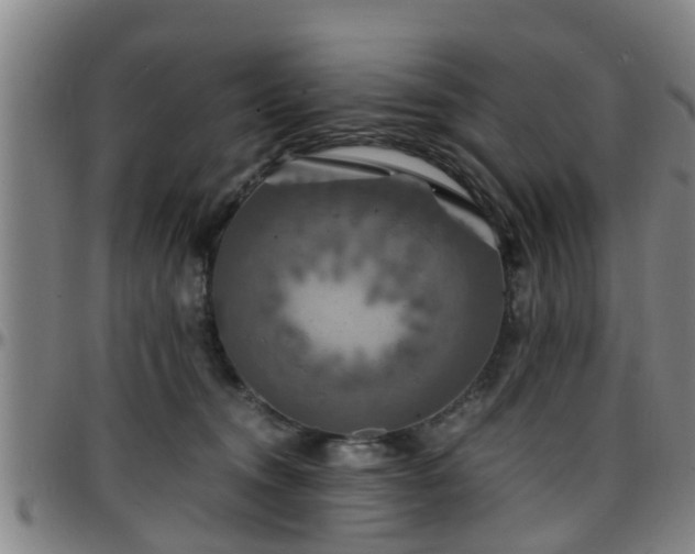 X0000096380372200801311304