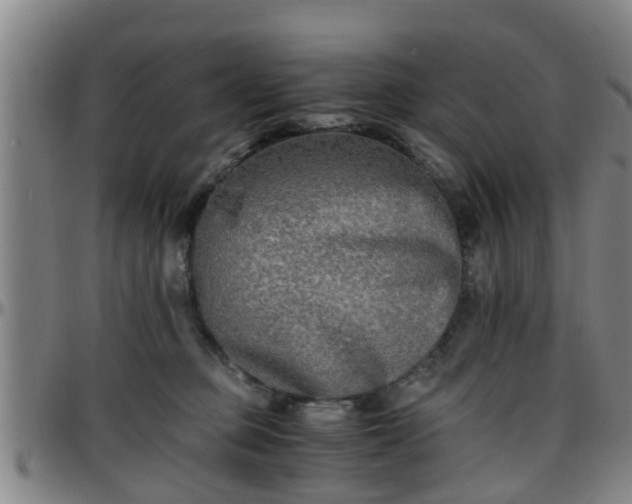 X0000096380373200801311304