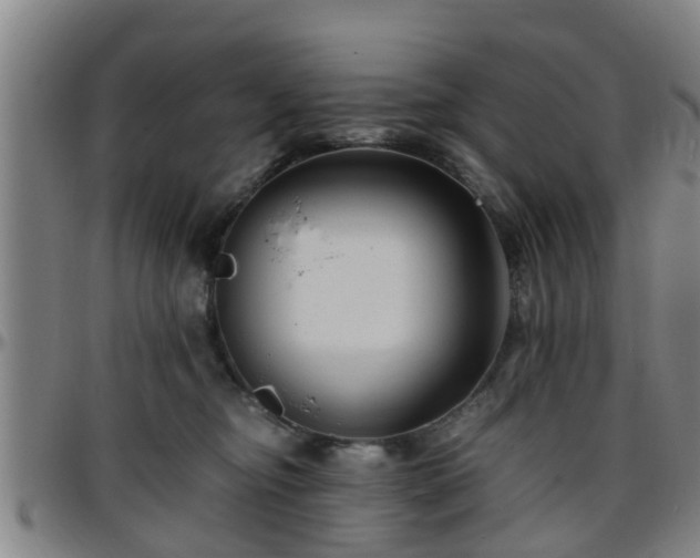 X0000096380374200801311304