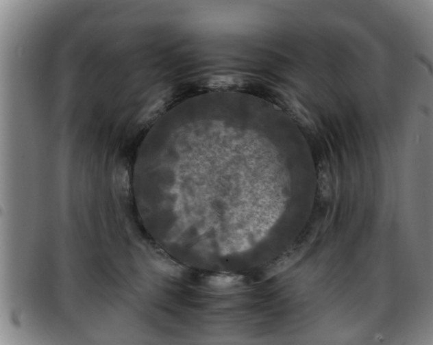 X0000096380375200801311304