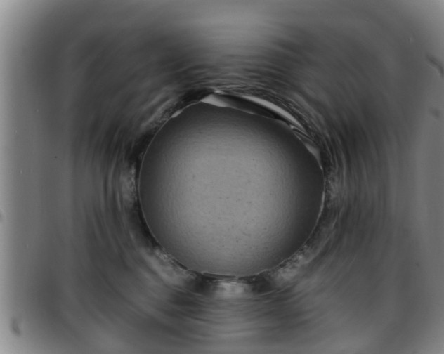 X0000096380376200801311304