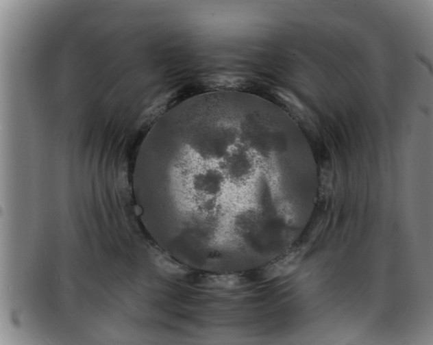 X0000096380377200801311304