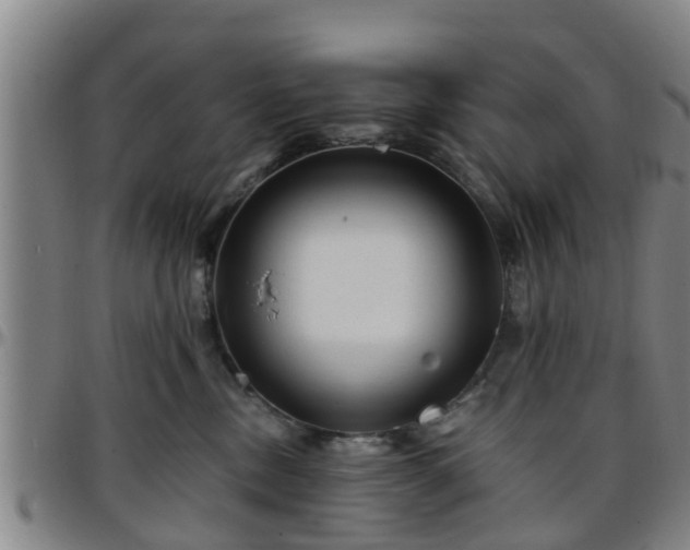X0000096380378200801311304