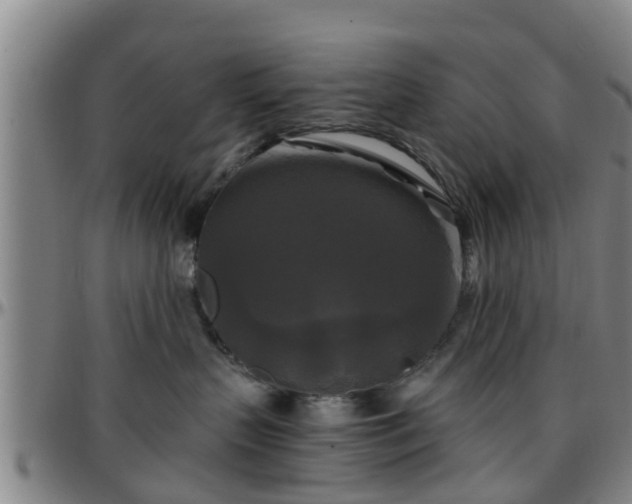 X0000096380383200801311304