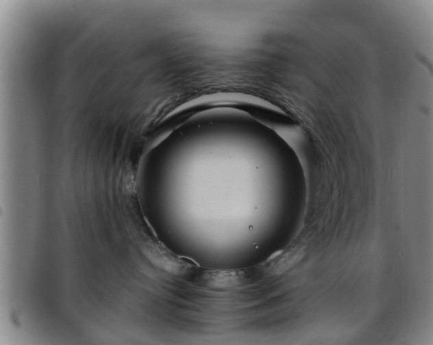 X0000096380384200801311304