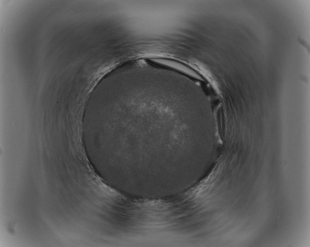 X0000096380385200801311304