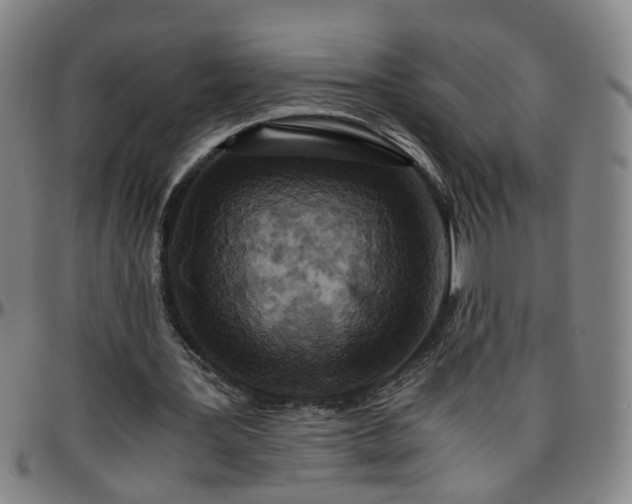 X0000096380387200801311304