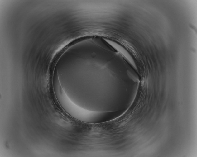 X0000096380388200801311304