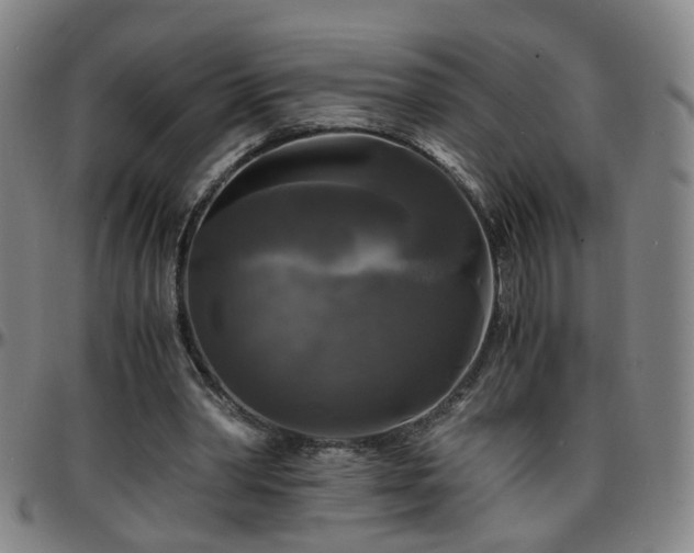 X0000096380390200801311304