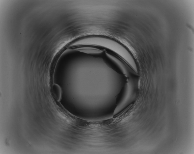 X0000096380391200801311304