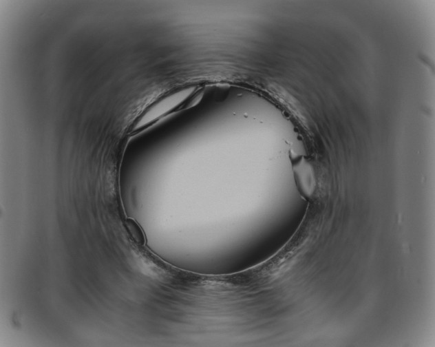 X0000096380393200801311304