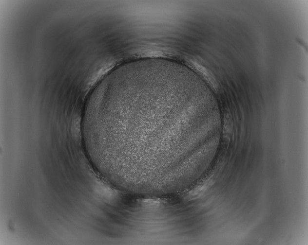 X0000096380394200801311304
