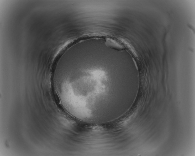X0000096380395200801311303