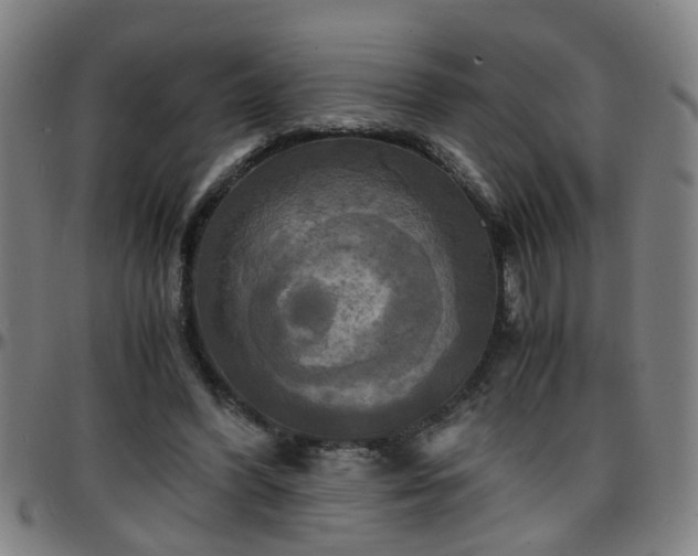 X0000096380396200801311303
