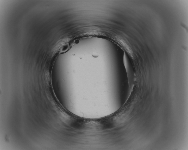 X0000096380397200801311303