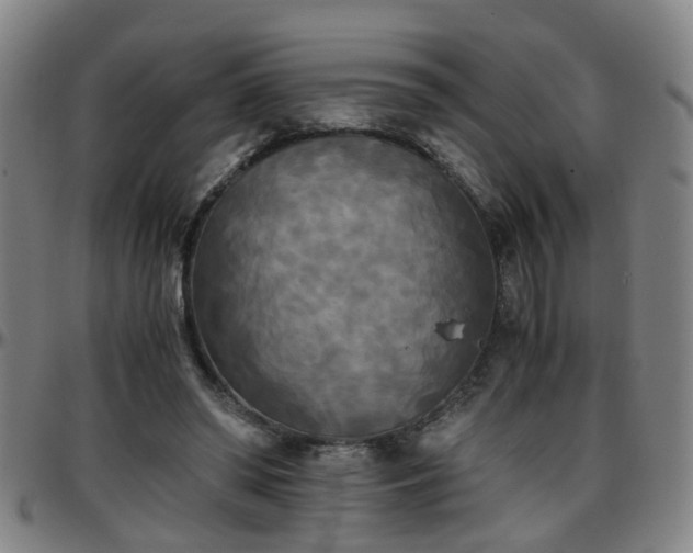 X0000096380398200801311303