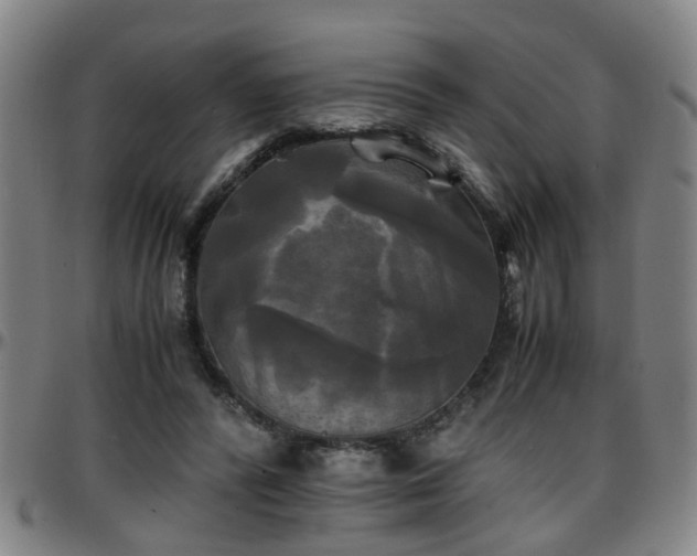 X0000096380400200801311303