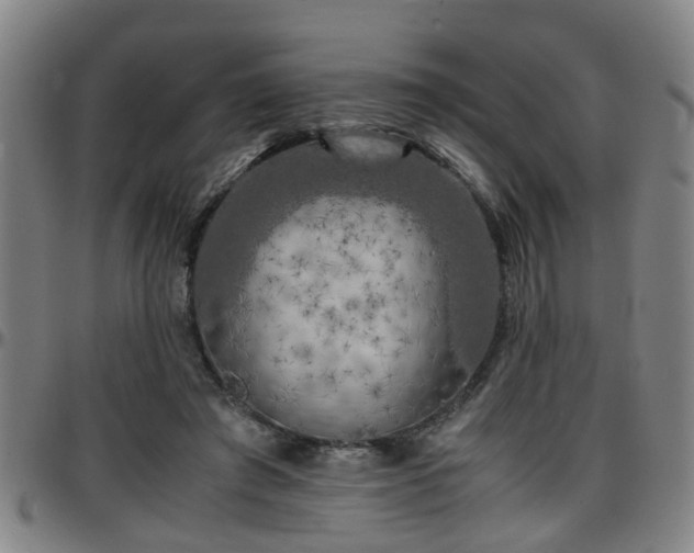 X0000096380401200801311303