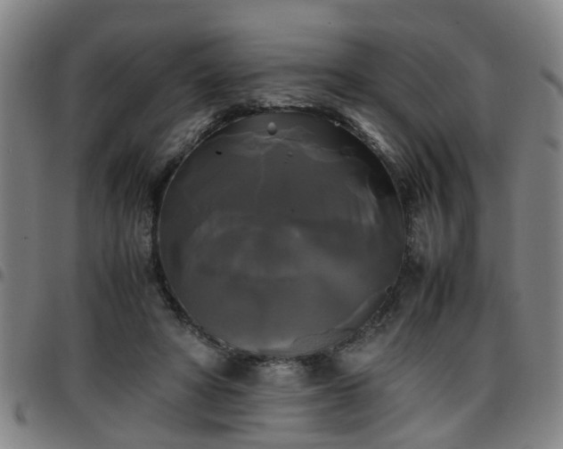 X0000096380402200801311303