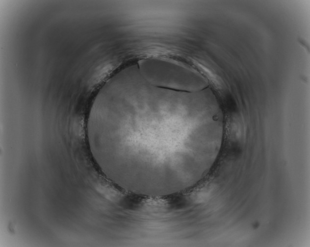 X0000096380403200801311303
