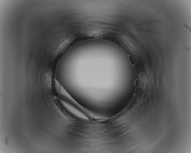 X0000096380404200801311303