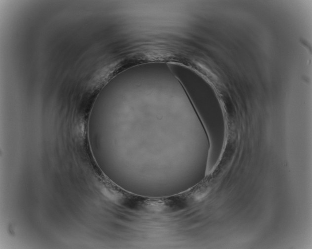 X0000096380405200801311303