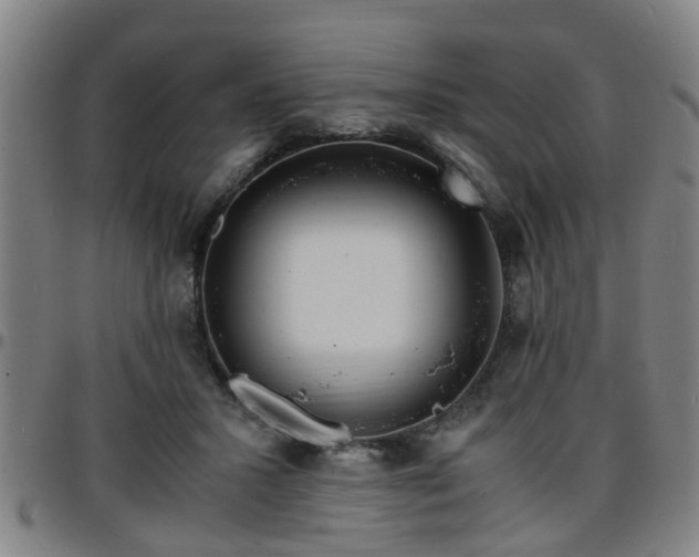 X0000096380407200801311303