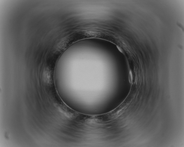 X0000096380408200801311303